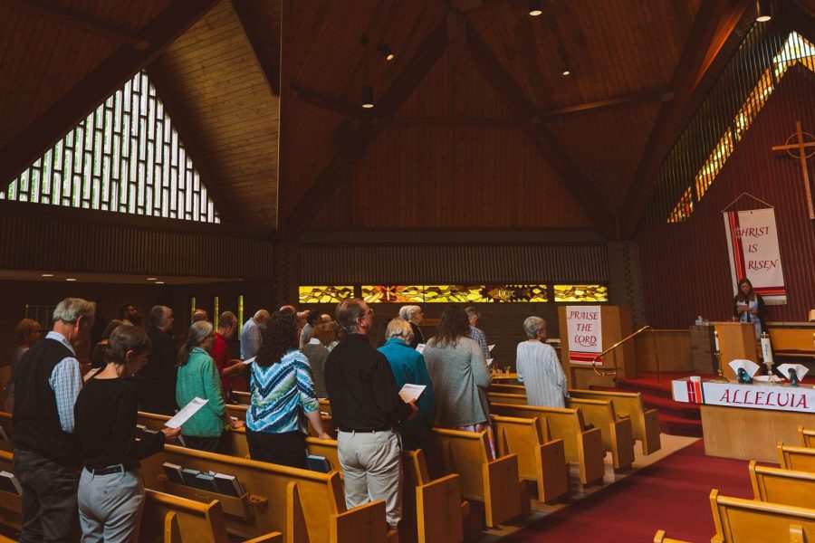 DSC04689-Enhanced-NR